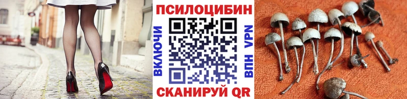 Псилоцибиновые грибы ЛСД  Купить где  Чухлома 