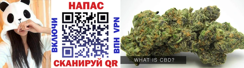 Конопля планчик  Купить  Чухлома 